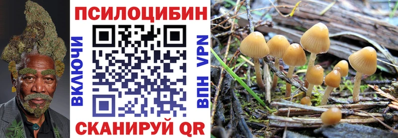 Купить  Нерчинск  Псилоцибиновые грибы мицелий 