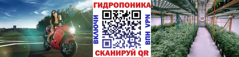 Купить где  Нерчинск  Шишки марихуана VHQ 